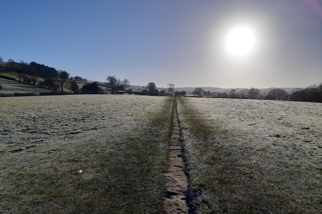 January blues and January muse